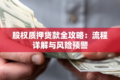 北京股权质押贷款全攻略：流程详解与风险预警