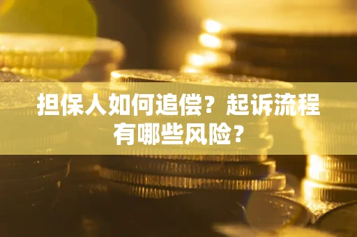 北京担保人如何追偿？起诉流程有哪些风险？