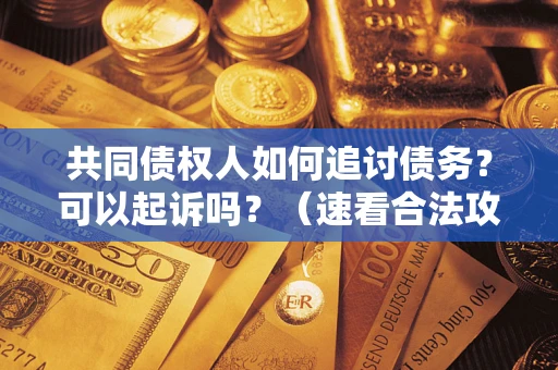 北京共同债权人如何追讨债务？可以起诉吗？（速看合法攻略）