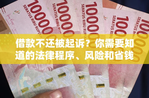 北京借款不还被起诉？你需要知道的法律程序、风险和省钱技巧