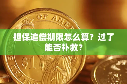 北京担保追偿期限怎么算？过了能否补救？